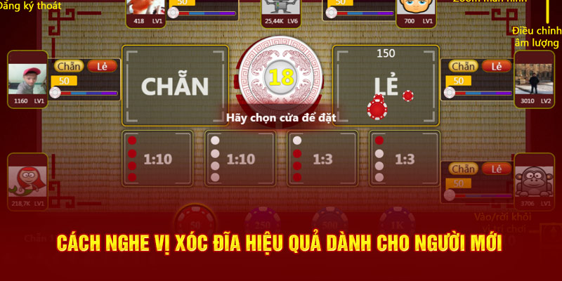 Cách nghe vị xóc đĩa hiệu quả dành cho người mới