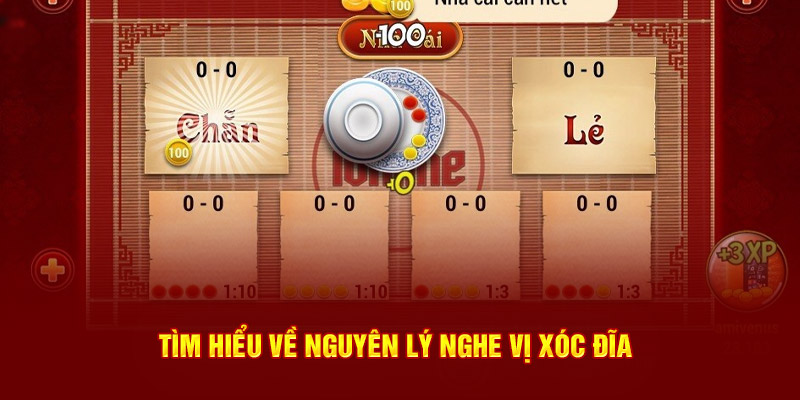 Tìm hiểu về nguyên lý nghe vị xóc đĩa
